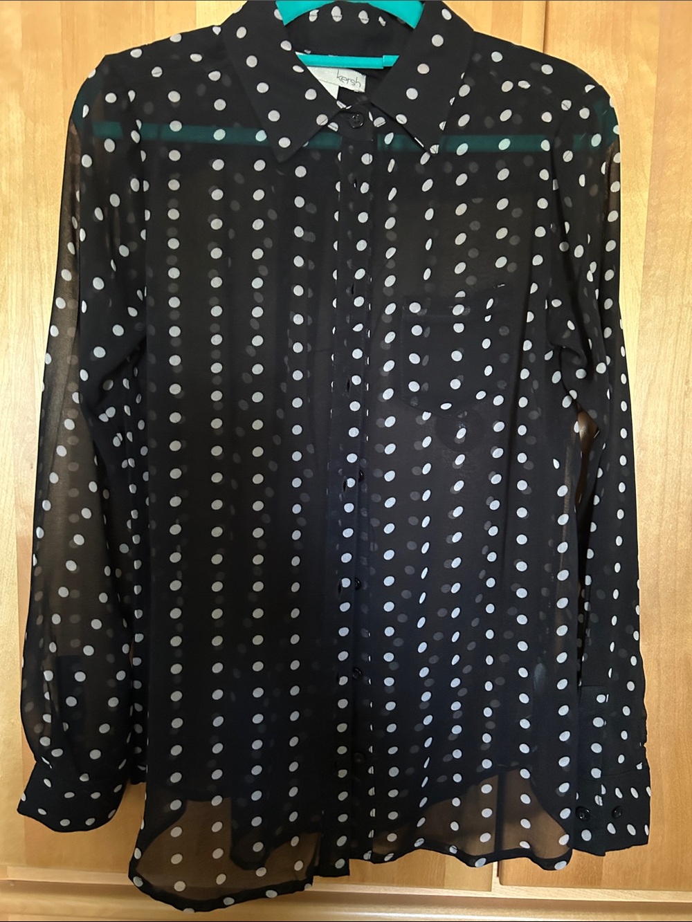 Black Polka Dot Sheer Button-Up Blouse